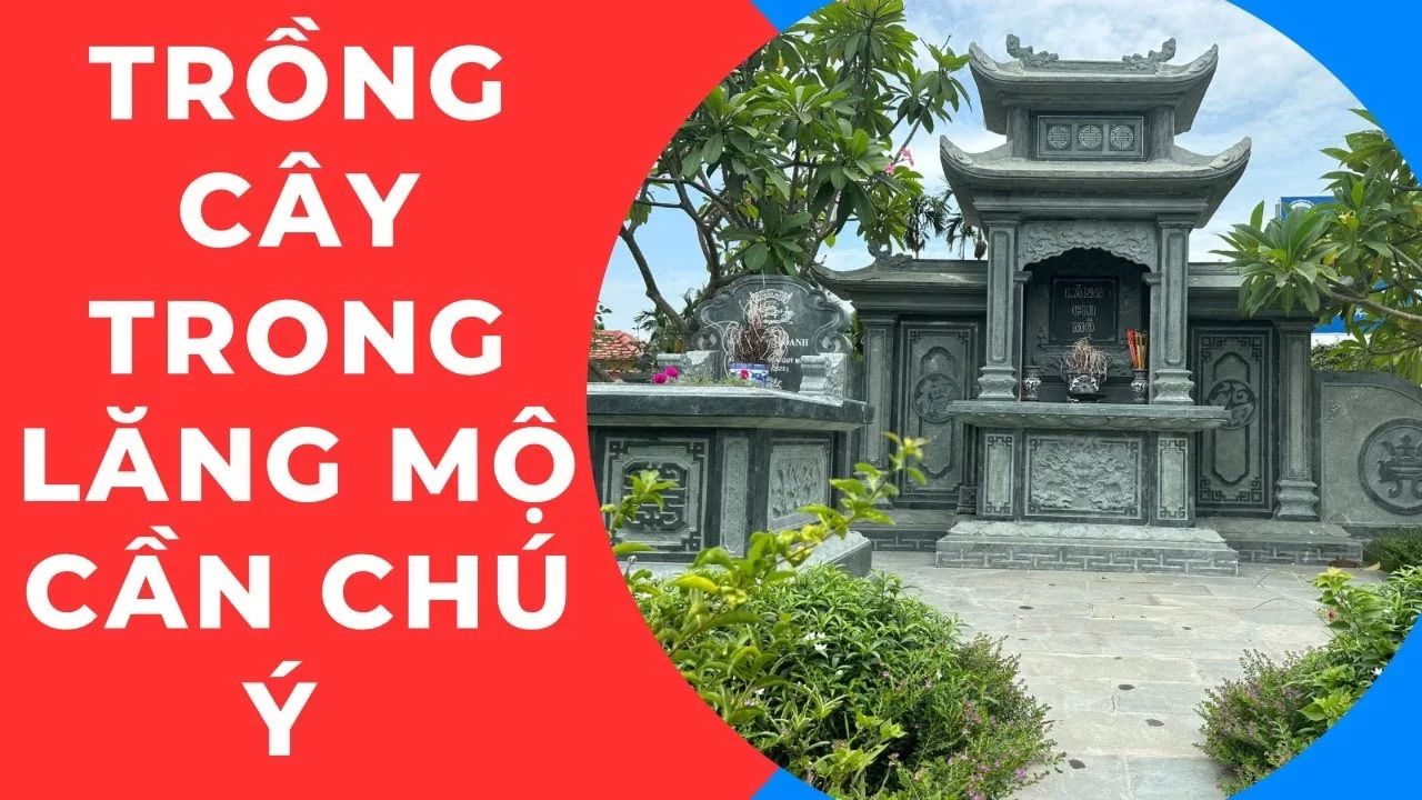 cach bo tri cay xanh trong cong trinh lang mo da