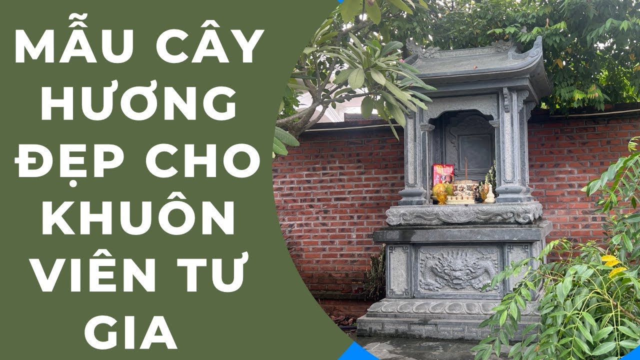 cach chon cay huong da phu hop nhat