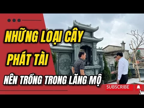 nen trong cay phong thuy o khu lang mo da gia chu giau sang phu quy